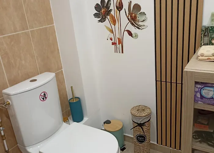 L'oceane Apartament Saint-Maurice-de-Beynost